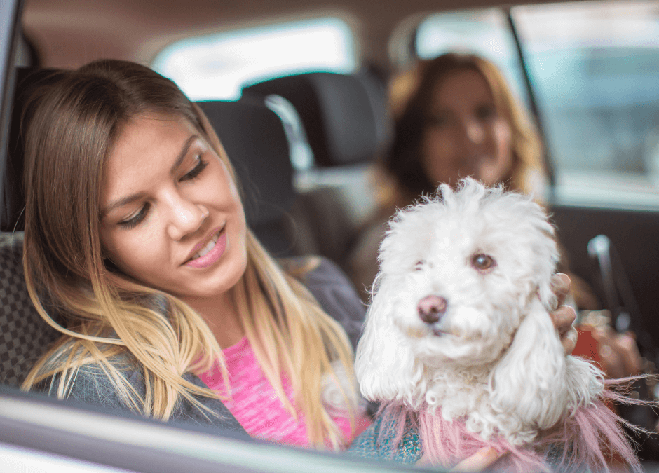 Taxi animalier à Luxembourg, confiez-nous votre animal pour un trajet en toute sécurité